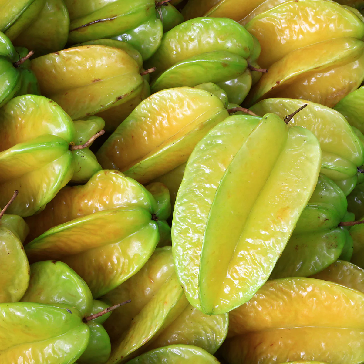 Sweet Organic Tropical Starfruit - Image 2