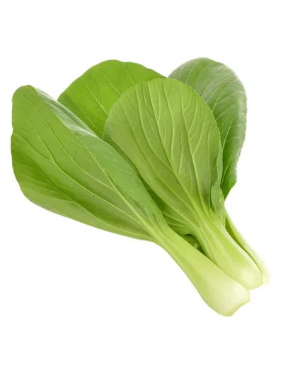 Healthy Organic Green Bok Choy