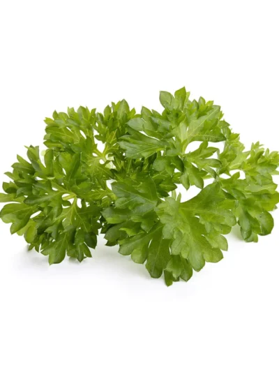 Natural Fresh Organic Parsley Flavor